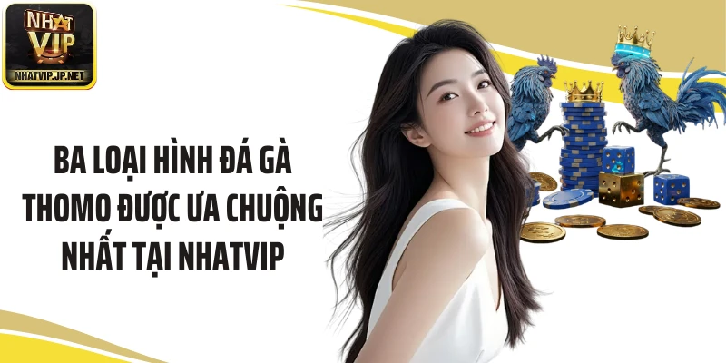 Ba loại hình đá gà Thomo được ưa chuộng nhất tại Nhatvip