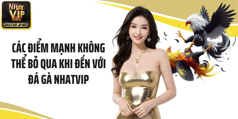 Các điểm mạnh không thể bỏ qua khi đến với đá gà Nhatvip