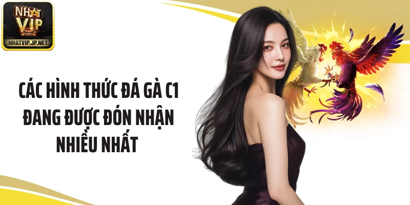 Các hình thức đá gà C1 đang được đón nhận nhiều nhất 