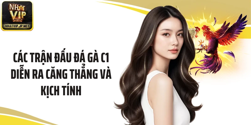 Các trận đấu đá gà C1 diễn ra căng thẳng và kịch tính 