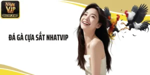 Đá Gà Cựa Sắt Nhatvip: Tổng Hợp Các Màn Giao Đấu Đỉnh Cao