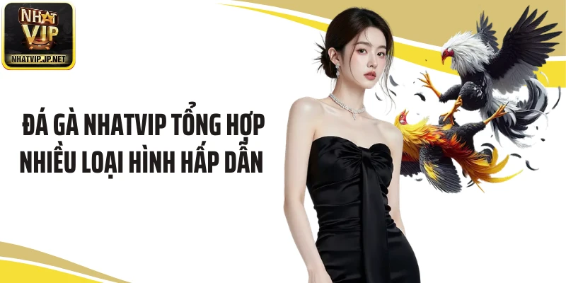 Đá gà Nhatvip tổng hợp nhiều loại hình hấp dẫn 