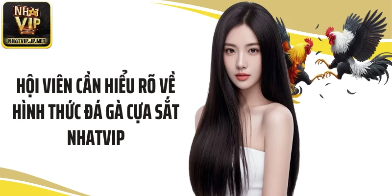 Hội viên cần hiểu rõ về hình thức đá gà cựa sắt Nhatvip