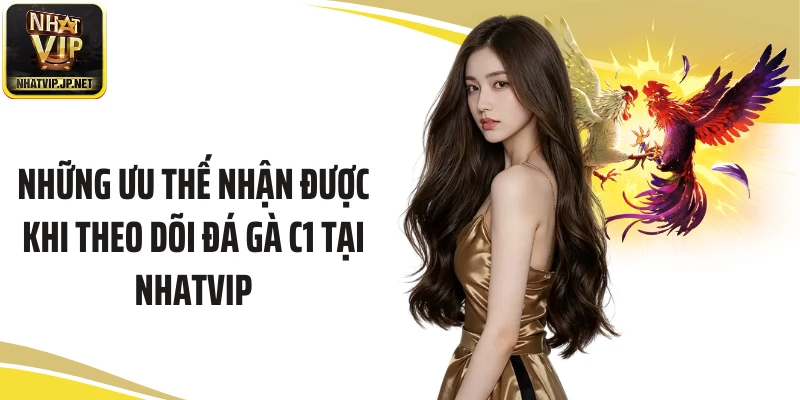 Những ưu thế nhận được khi theo dõi đá gà C1 tại Nhatvip